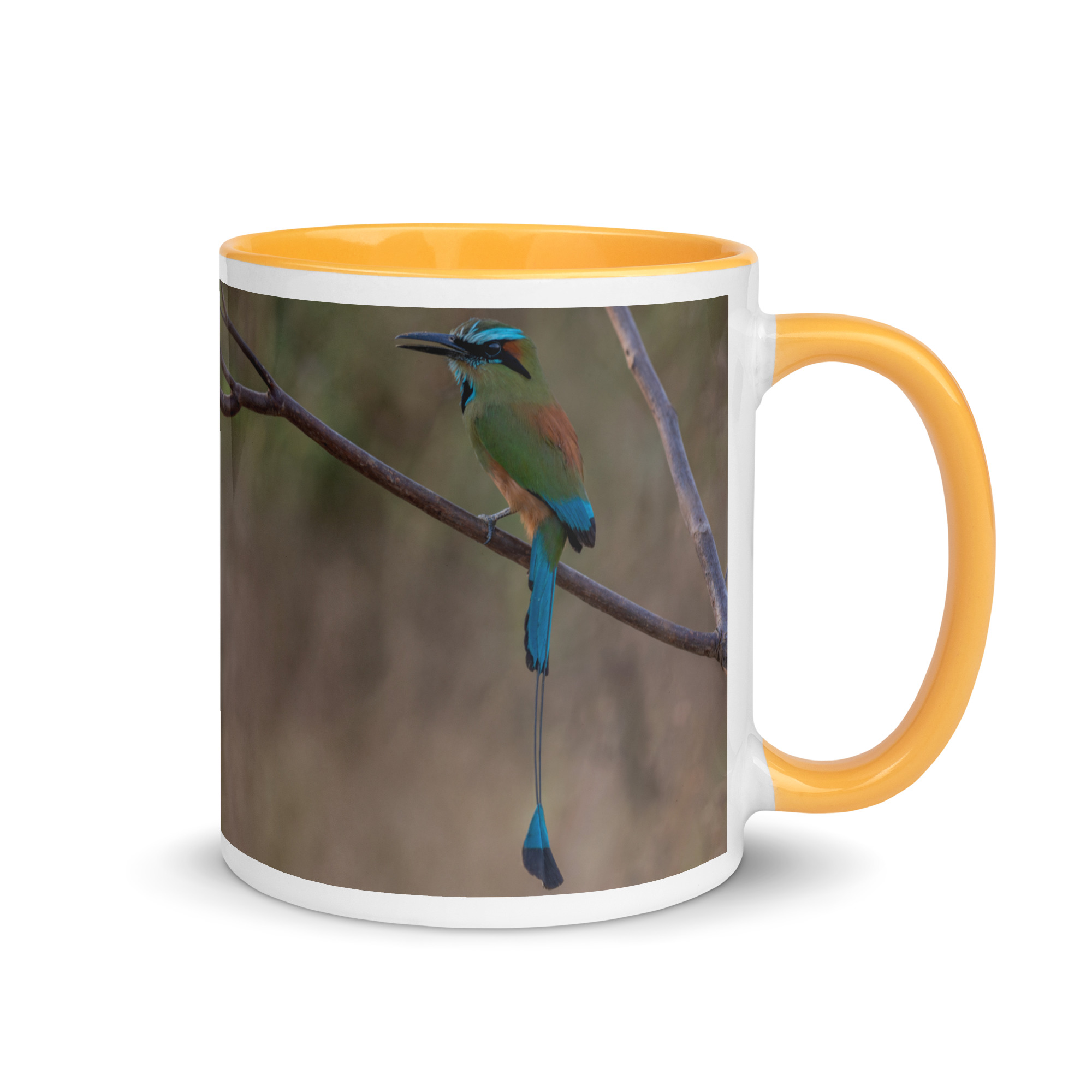Turquoise-browed motmot! Mug with Color Inside - Image 22