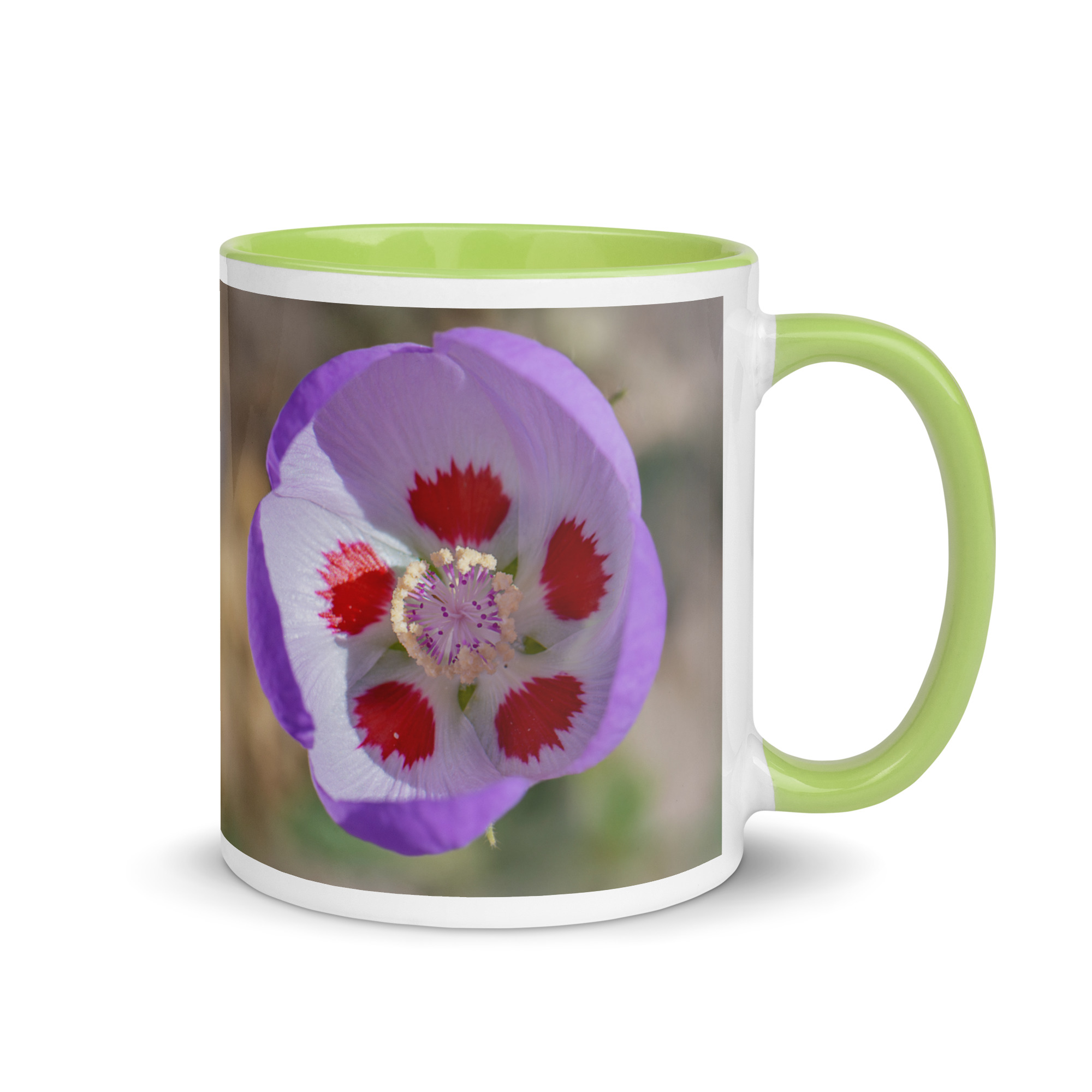 Desert five-spot in bloom! Mug with Color Inside - Image 25