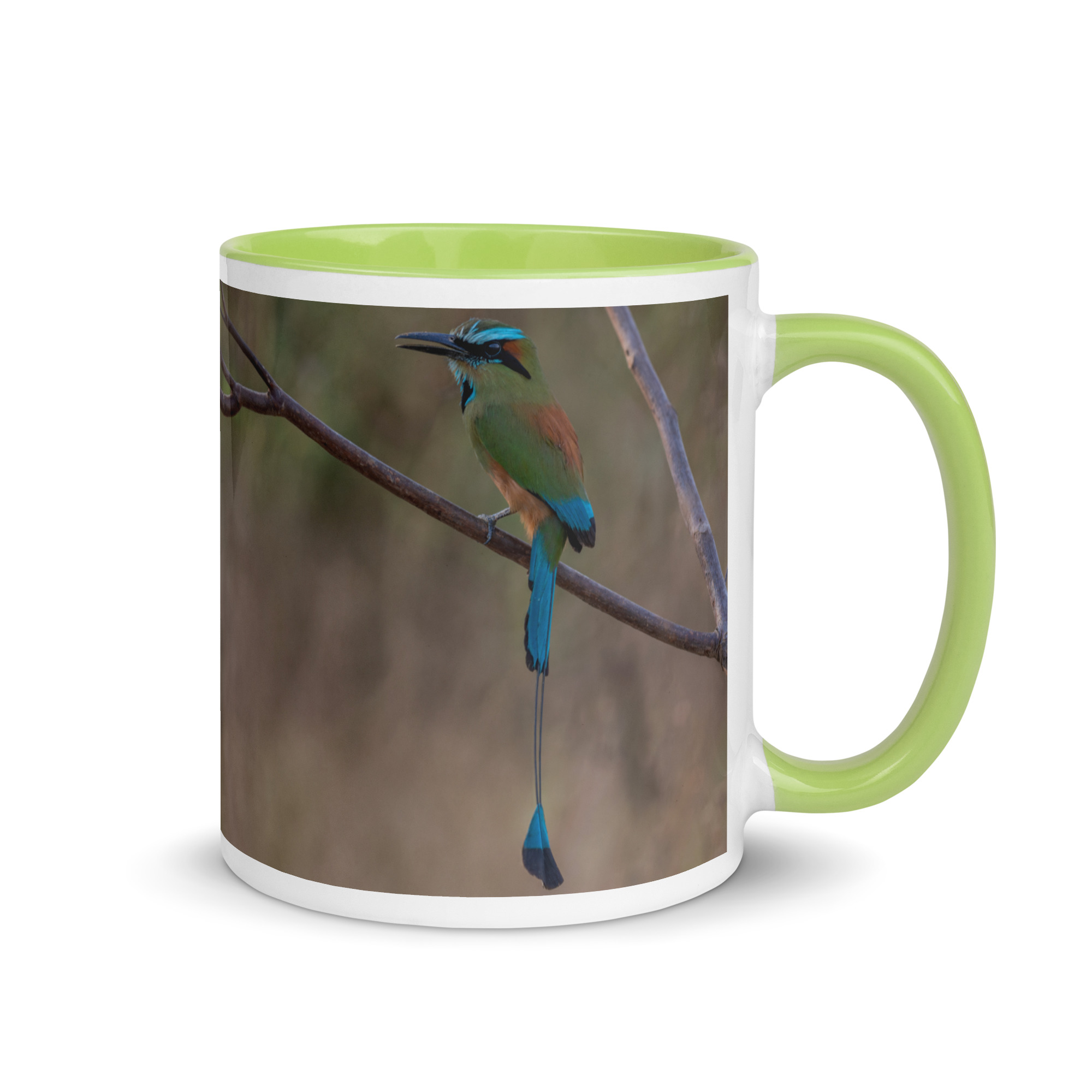 Turquoise-browed motmot! Mug with Color Inside - Image 25