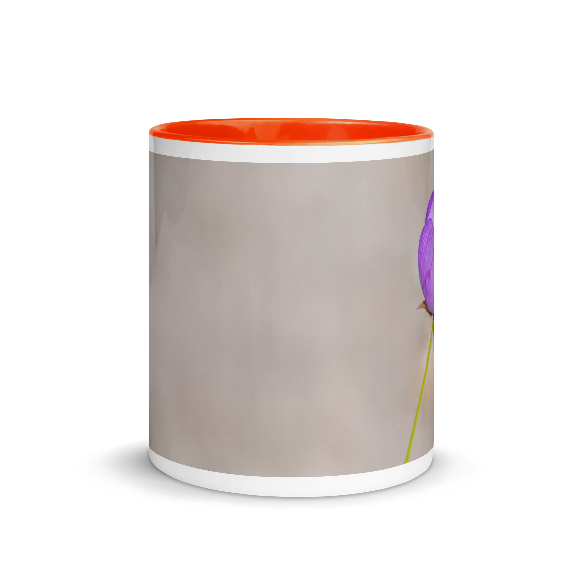 Desert five-spot! Mug with Color Inside - Image 14