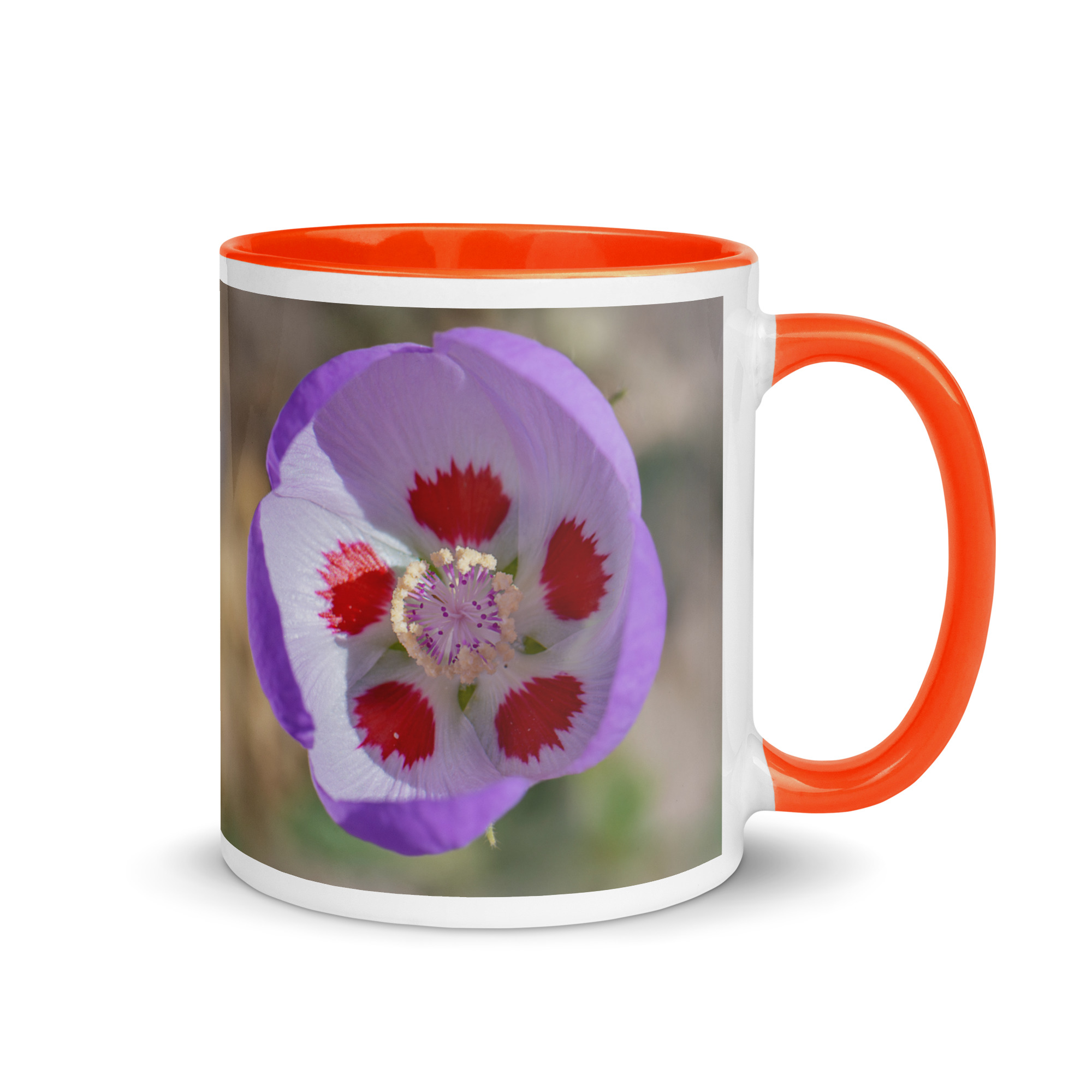 Desert five-spot in bloom! Mug with Color Inside - Image 13