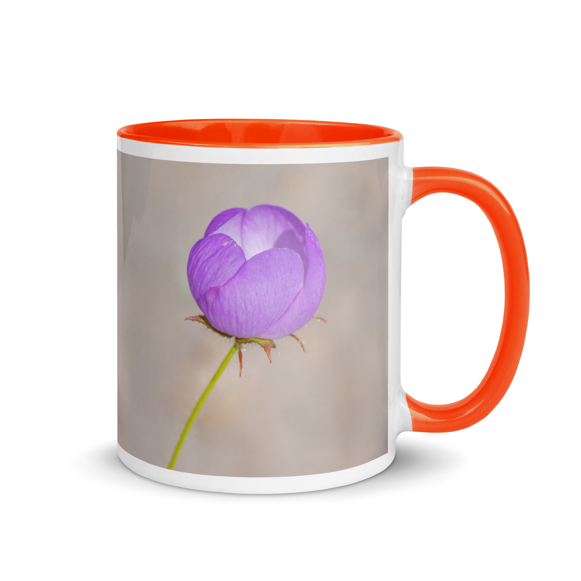 Desert five-spot! Mug with Color Inside - Image 13