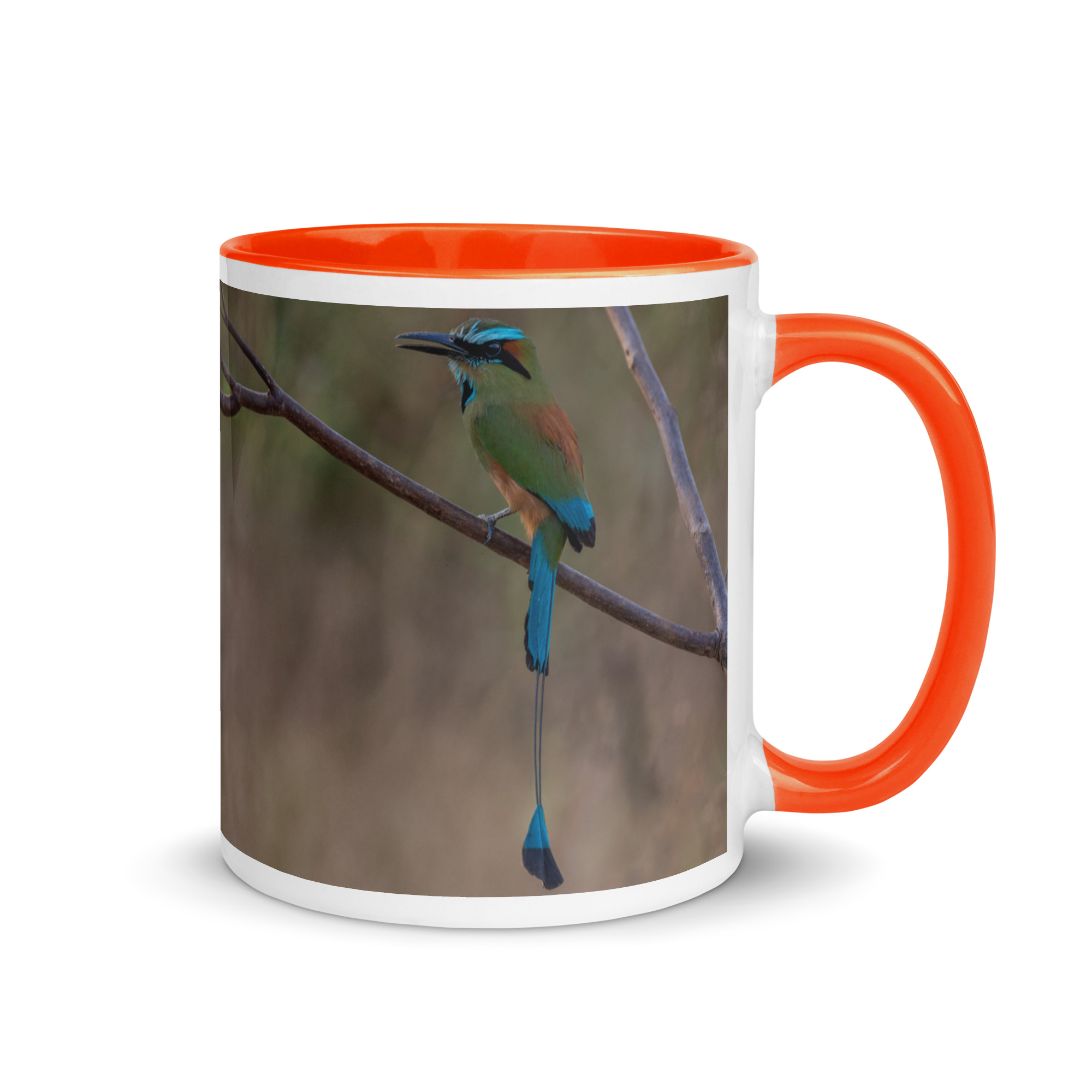 Turquoise-browed motmot! Mug with Color Inside - Image 13