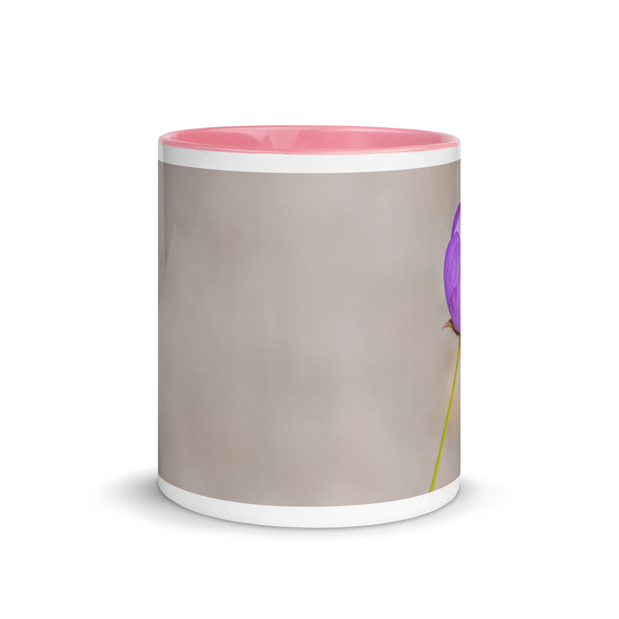 Desert five-spot! Mug with Color Inside - Image 20
