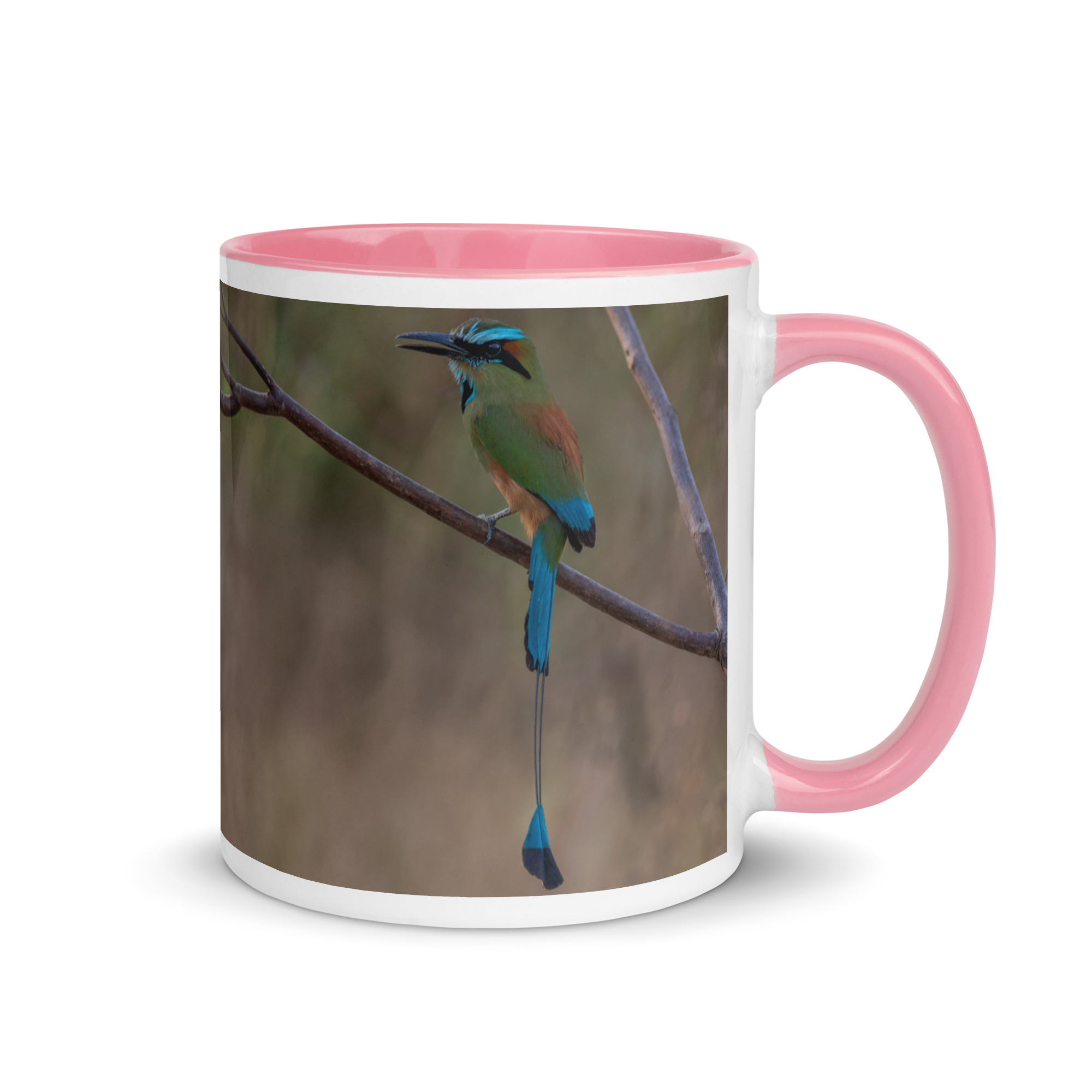 Turquoise-browed motmot! Mug with Color Inside - Image 19