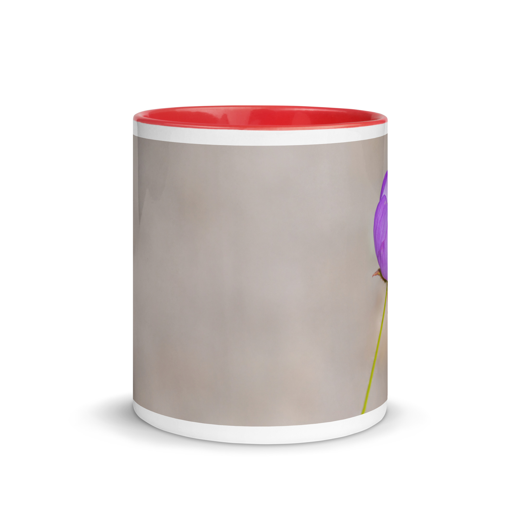 Desert five-spot! Mug with Color Inside - Image 8