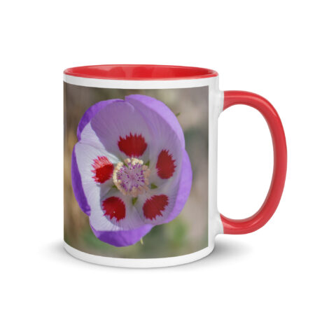 Desert five-spot in bloom! Mug with Color Inside