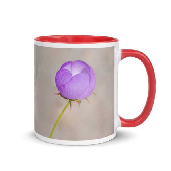 Desert five-spot! Mug with Color Inside