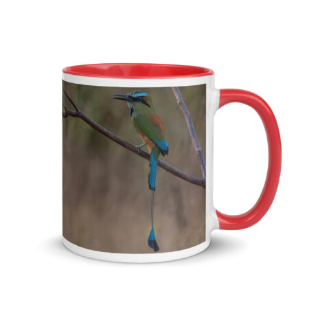 Turquoise-browed motmot! Mug with Color Inside