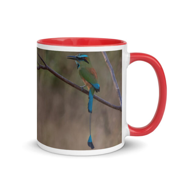 Turquoise browed motmot perches gracefully on a slender branch! Mug with Color Inside
