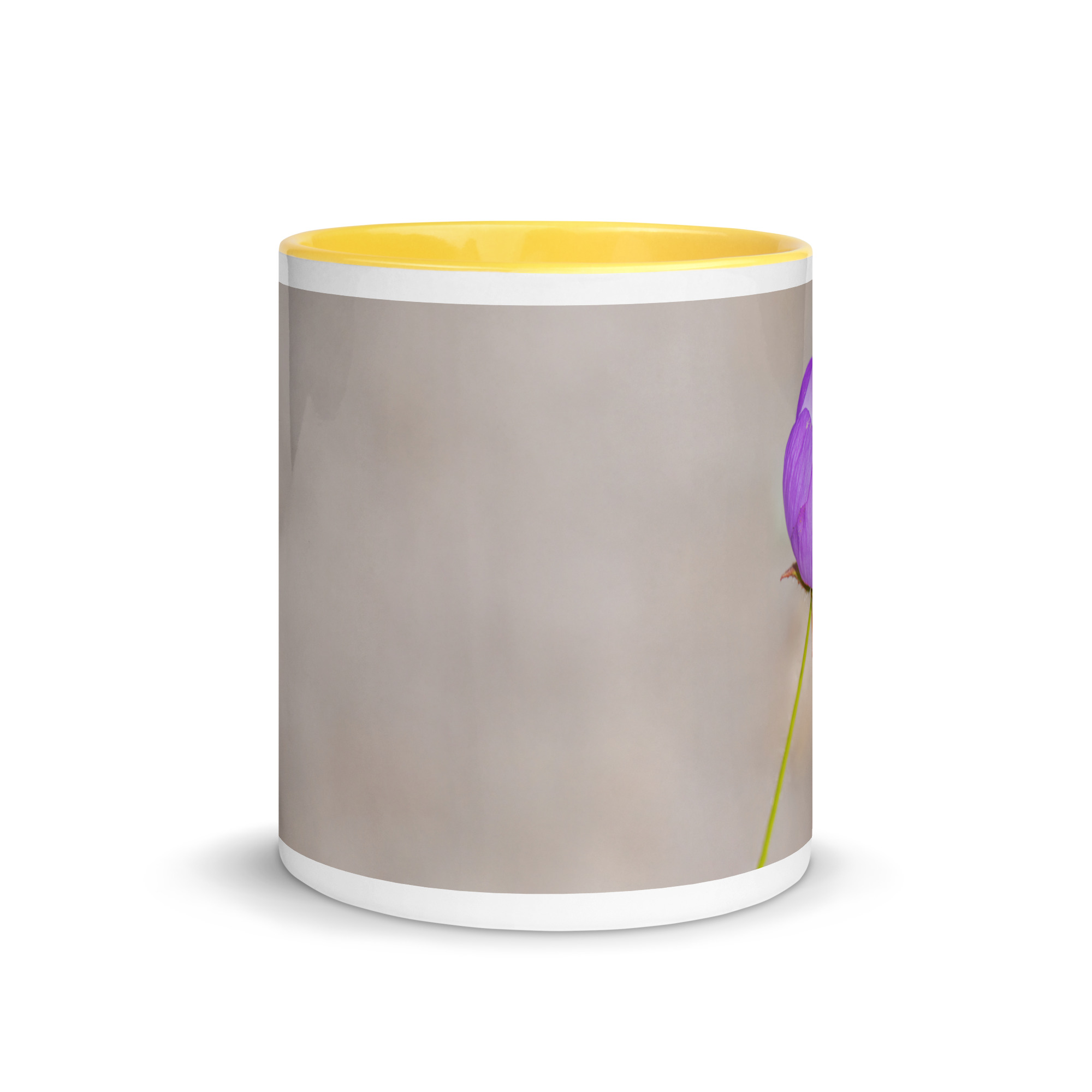 Desert five-spot! Mug with Color Inside - Image 29
