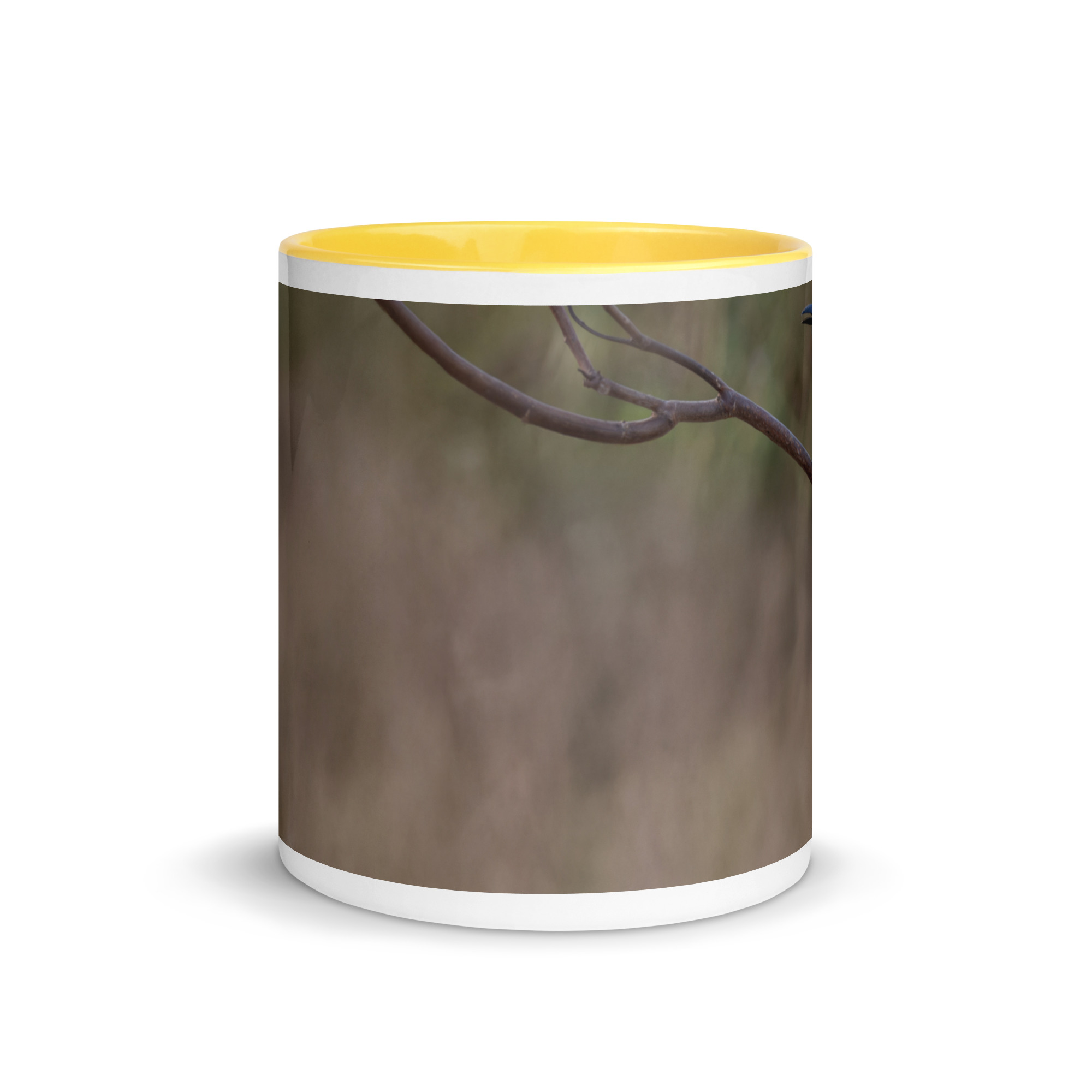 Turquoise-browed motmot! Mug with Color Inside - Image 29
