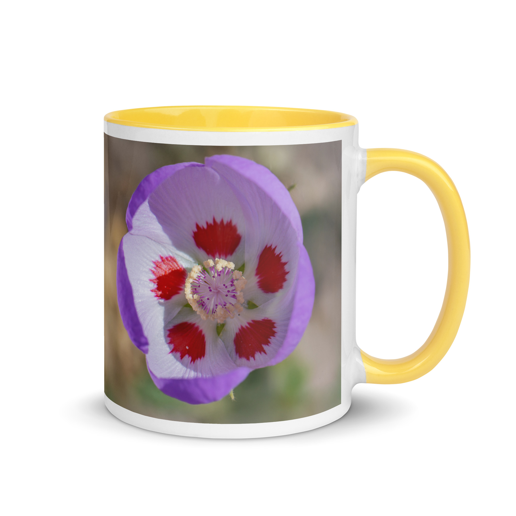 Desert five-spot in bloom! Mug with Color Inside - Image 28