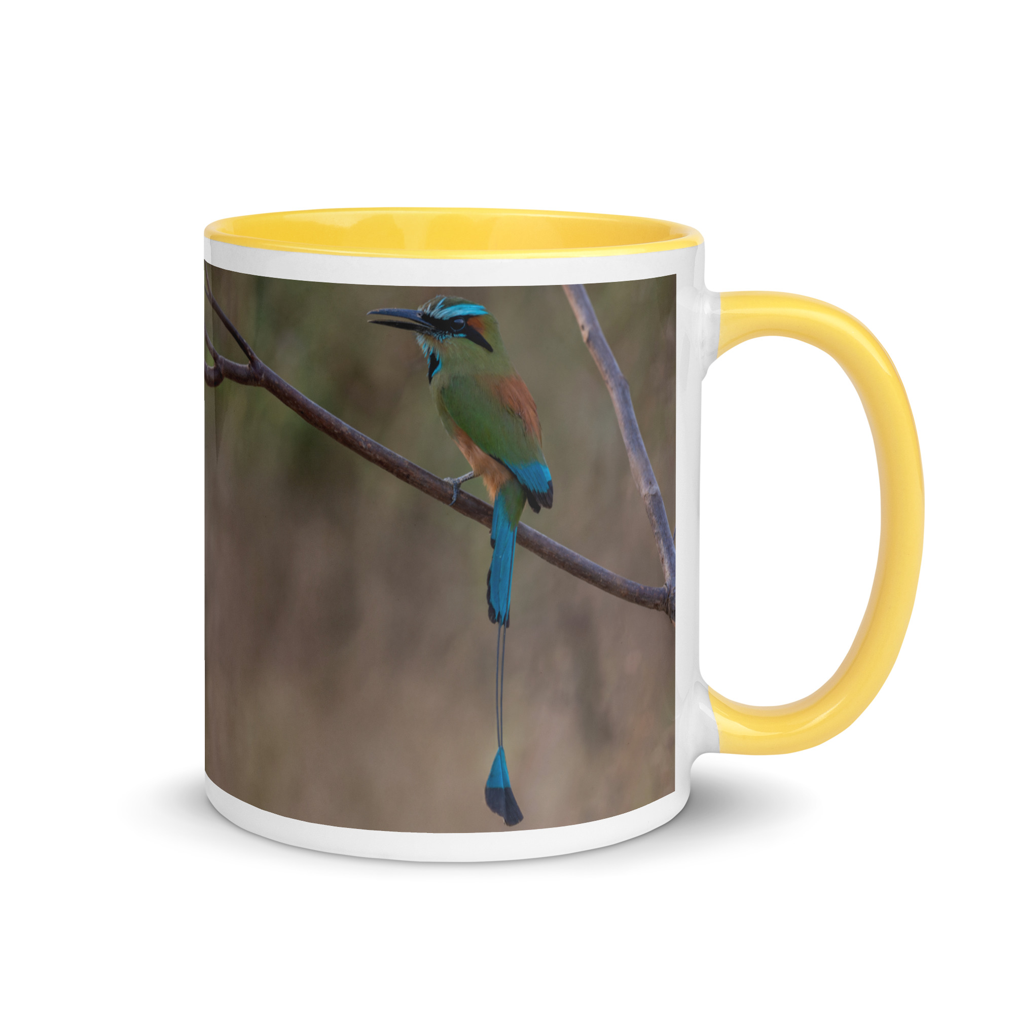 Turquoise-browed motmot! Mug with Color Inside - Image 28