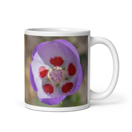 Desert five-spot in bloom! White glossy mug