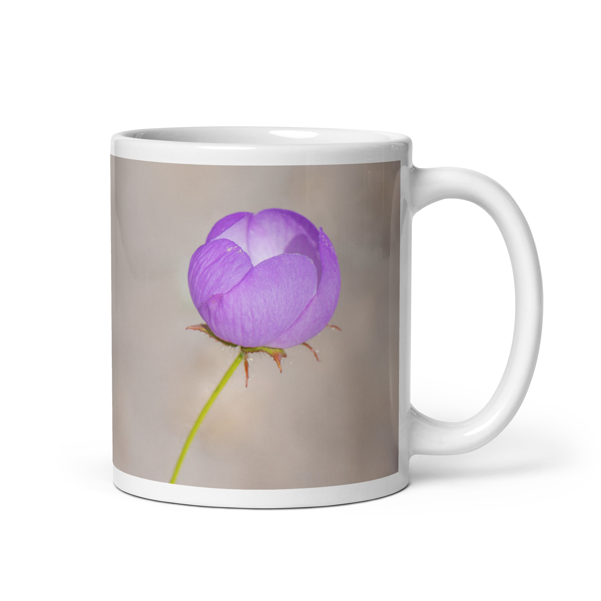 Desert five-spot! White glossy mug