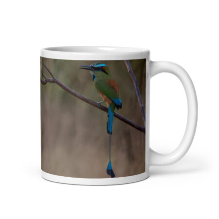 Turquoise-browed motmot! White glossy mug