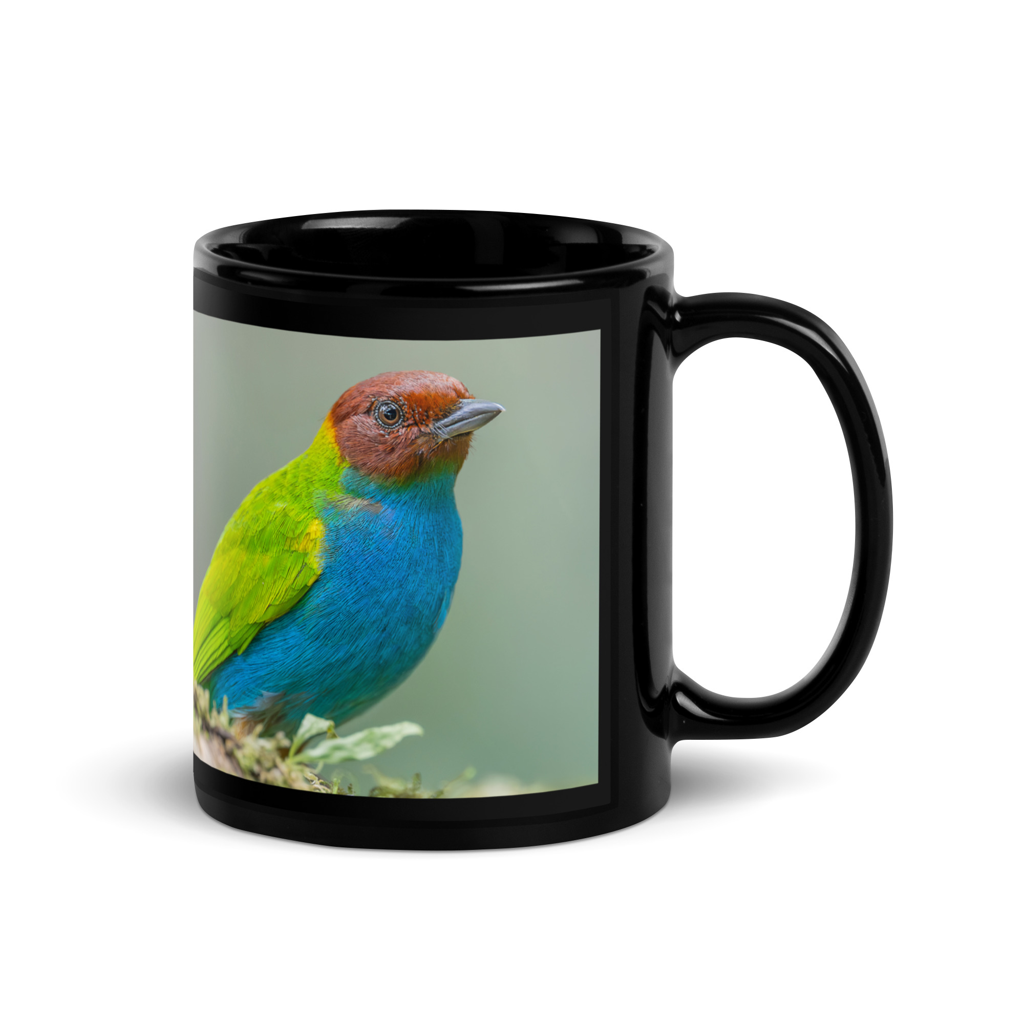 Bay Headed Tanager in rain Forest! Black Glossy Mug