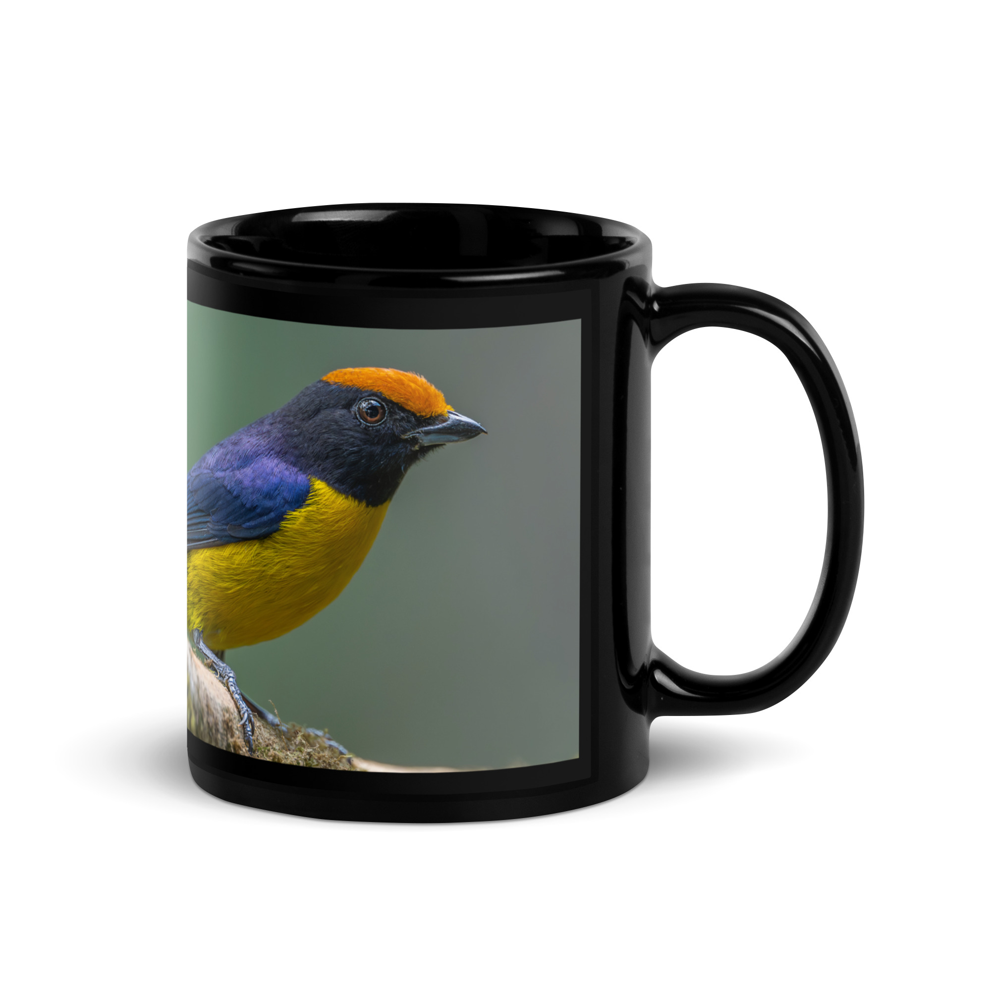 Tawny-capped euphonia in cloud forest! Black Glossy Mug