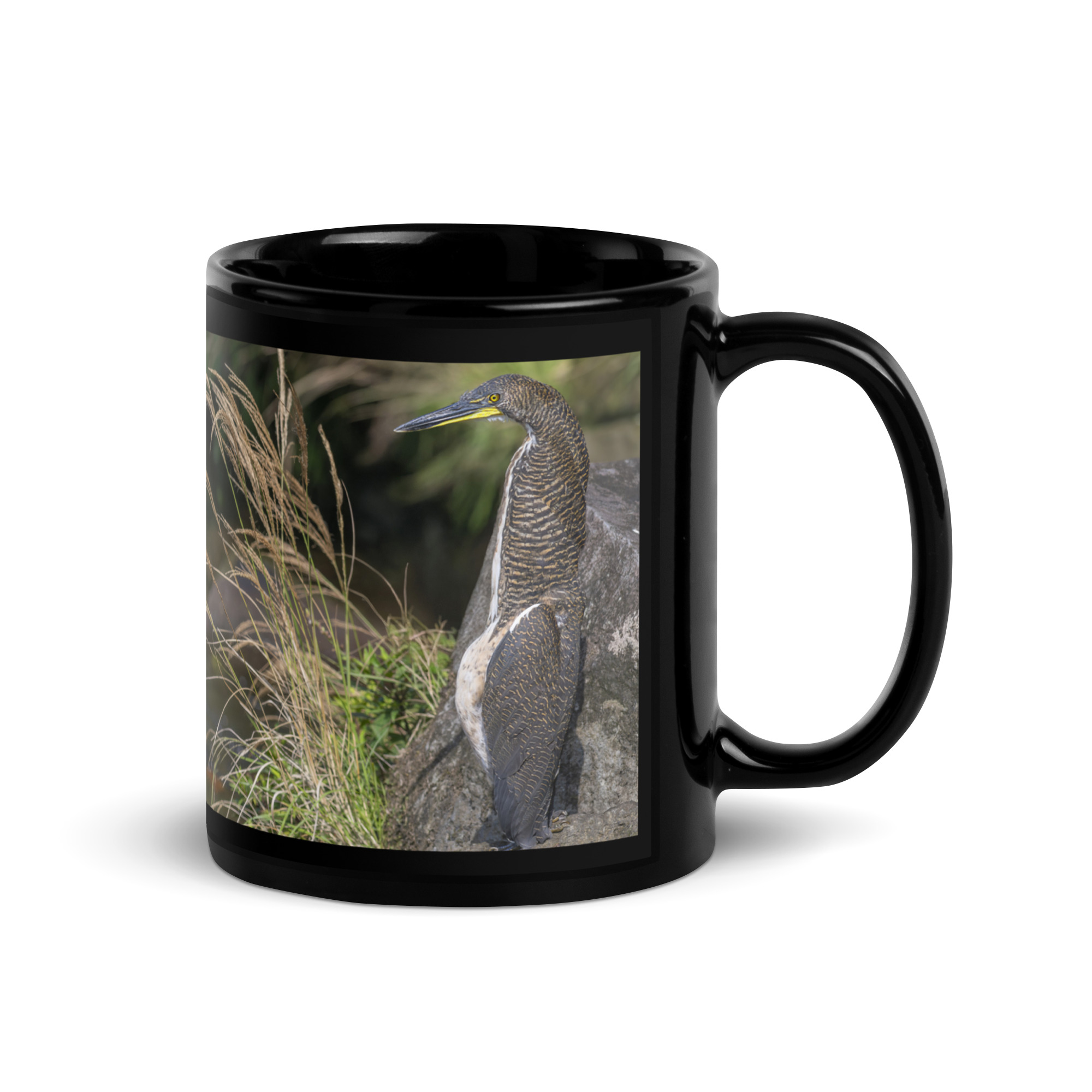 Bare-throated tiger heron! Black Glossy Mug
