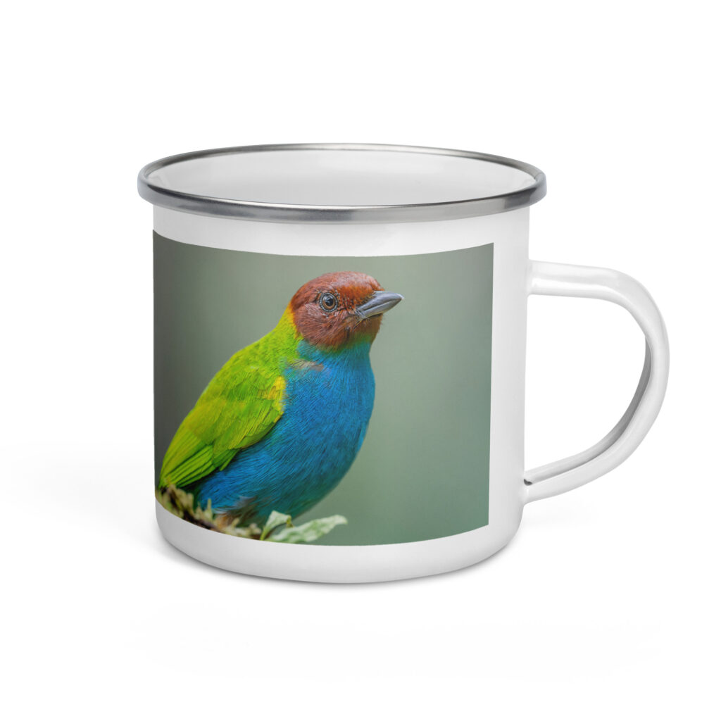 Bay Headed Tanager in rain Forest! Enamel Mug