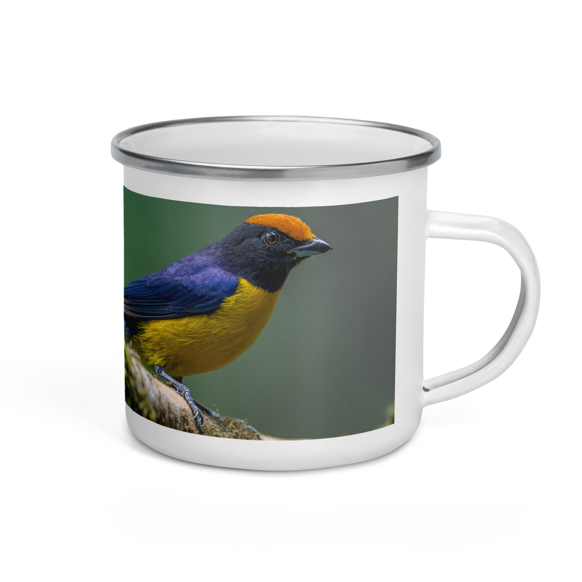 Tawny-capped euphonia in cloud forest! Enamel Mug