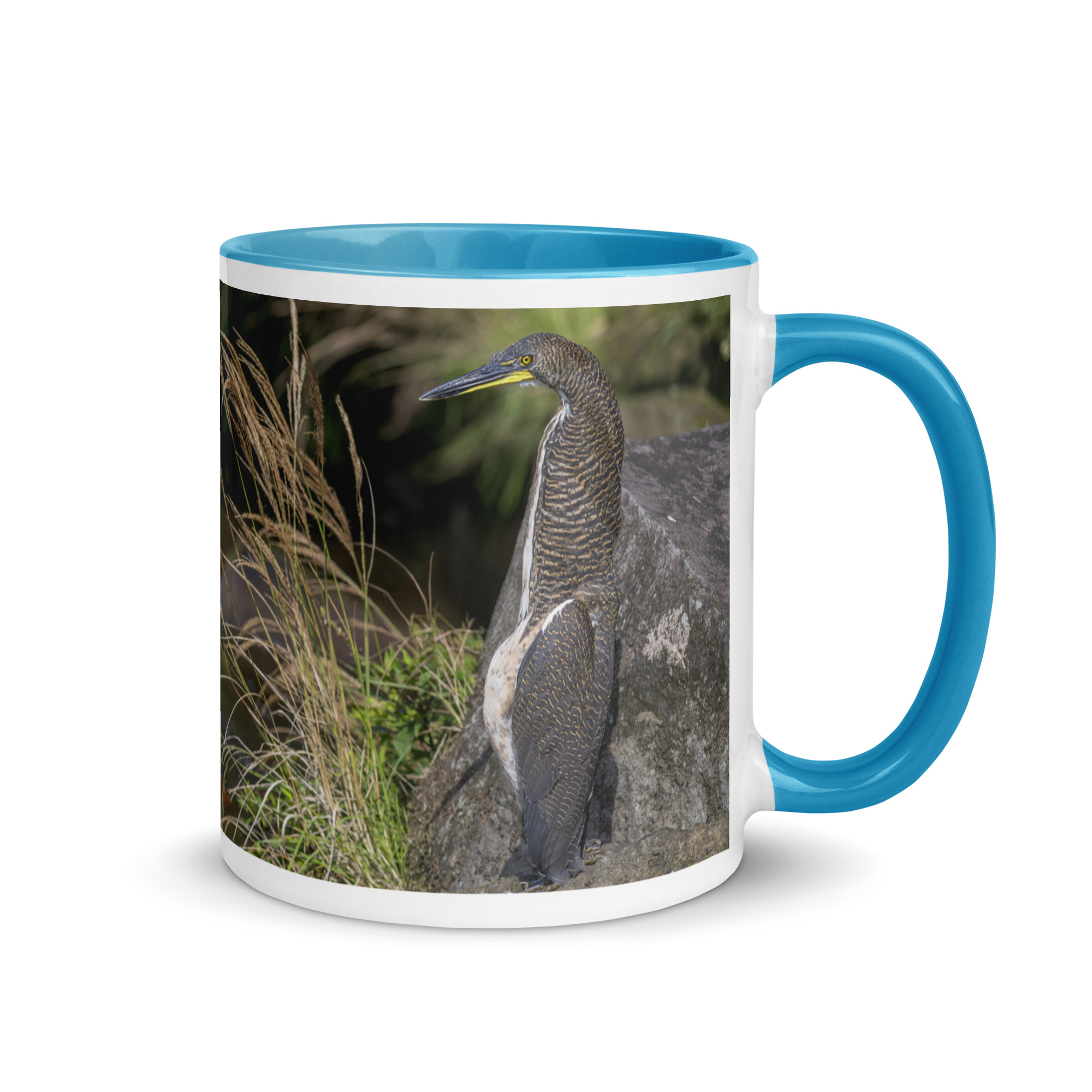 Bare-throated tiger heron! Mug with Color Inside - Image 16