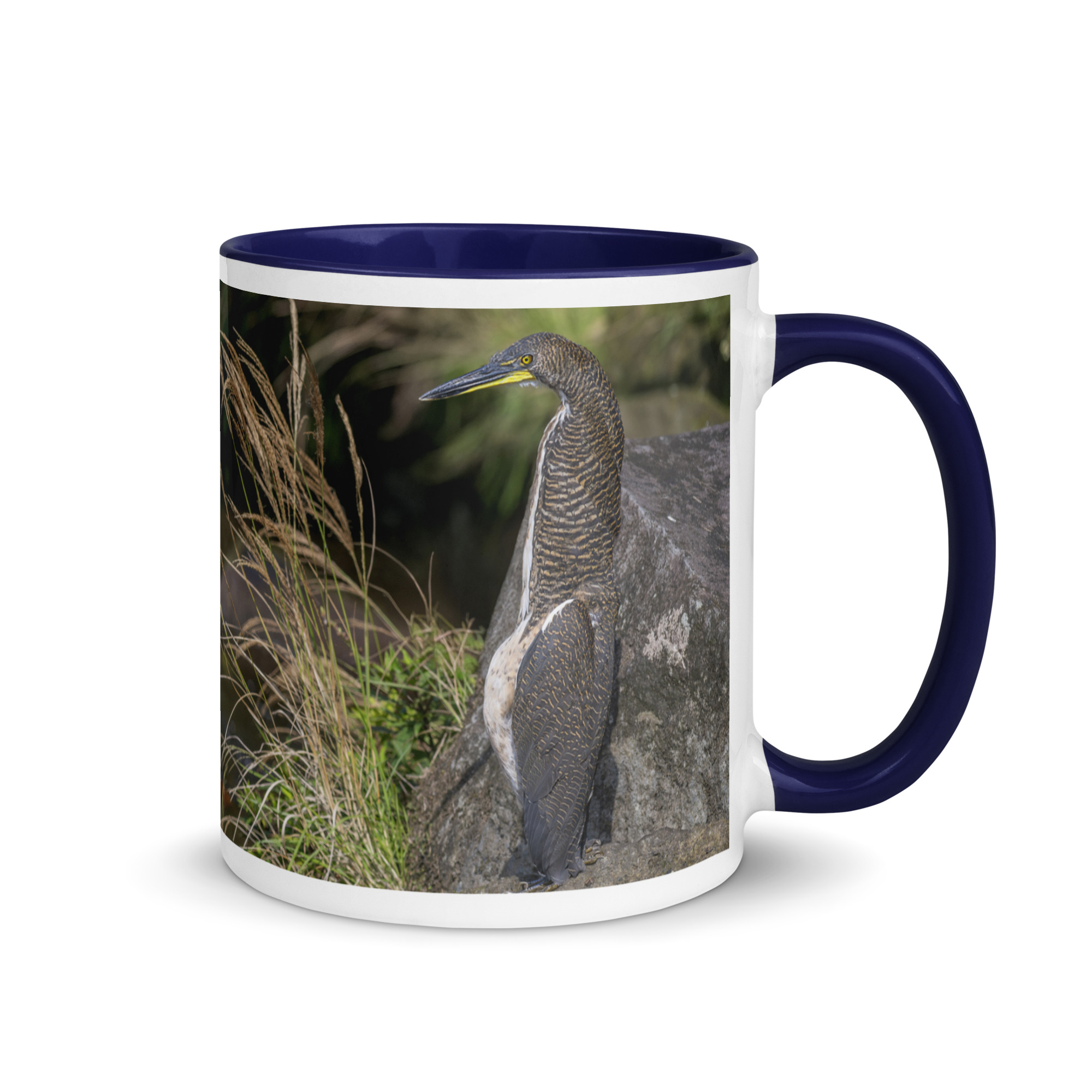 Bare-throated tiger heron! Mug with Color Inside - Image 5