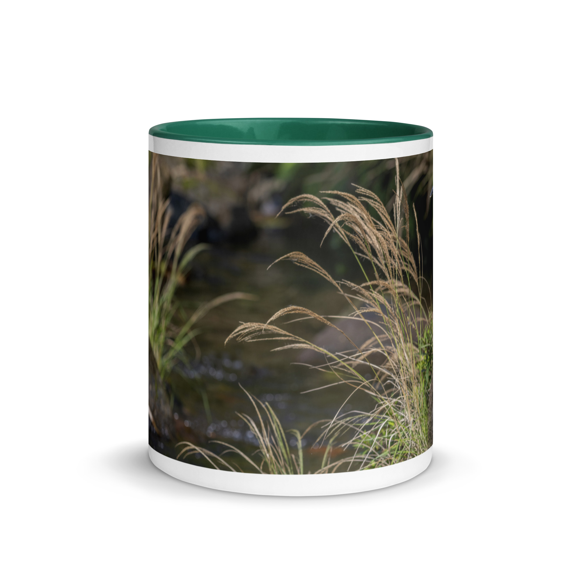 Bare-throated tiger heron! Mug with Color Inside - Image 11