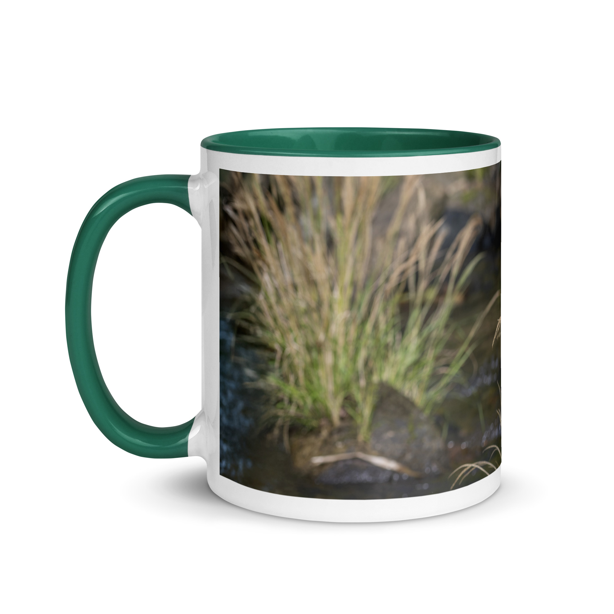 Bare-throated tiger heron! Mug with Color Inside - Image 12