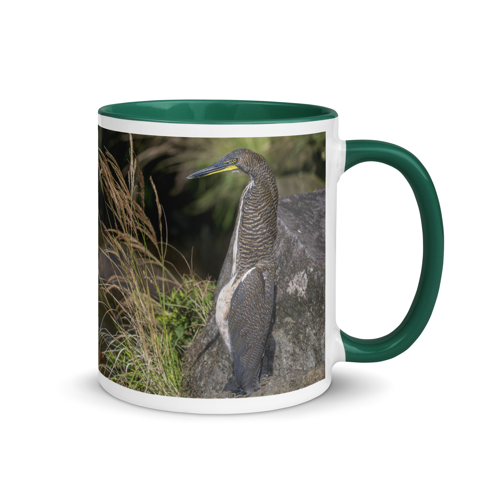 Bare-throated tiger heron! Mug with Color Inside - Image 10