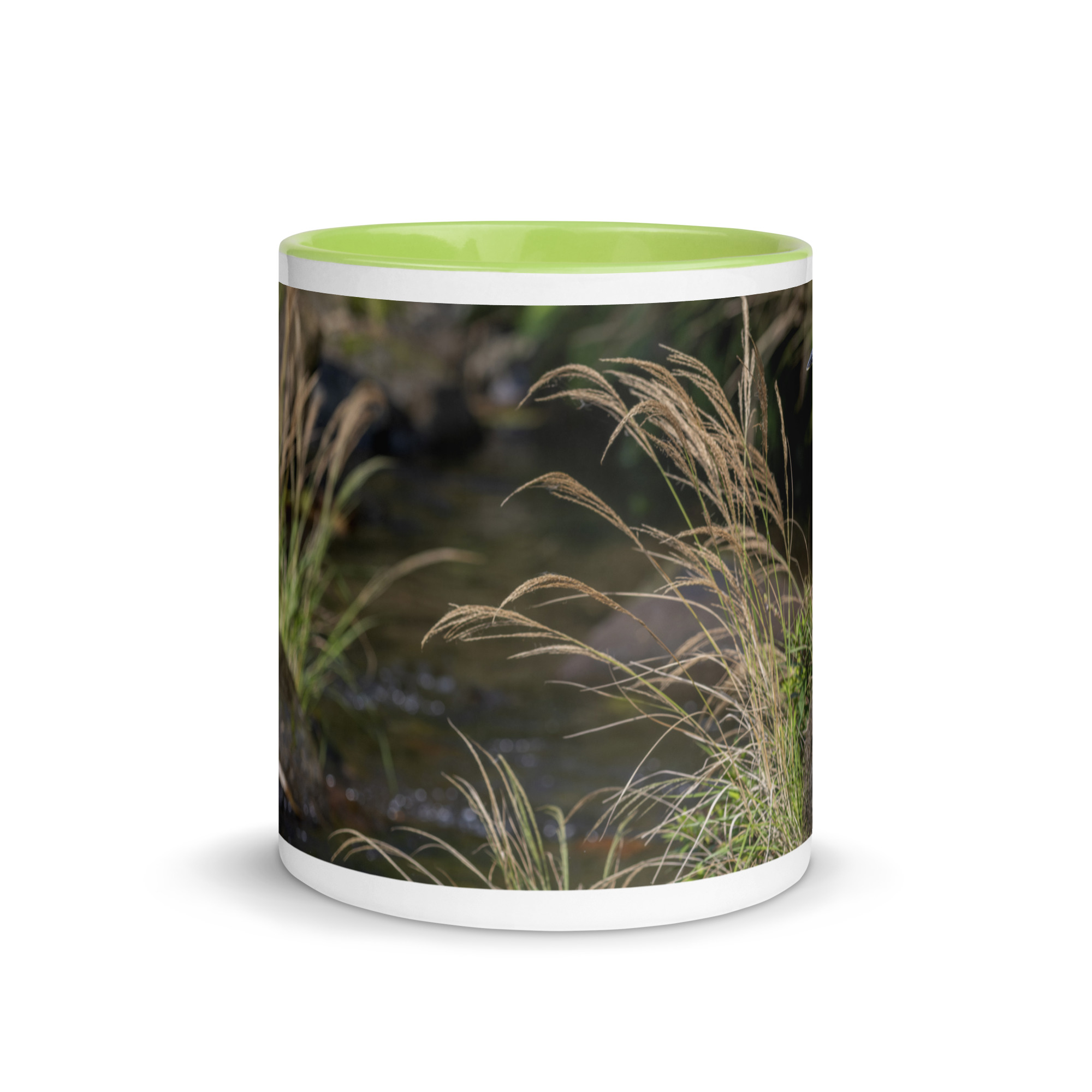 Bare-throated tiger heron! Mug with Color Inside - Image 26