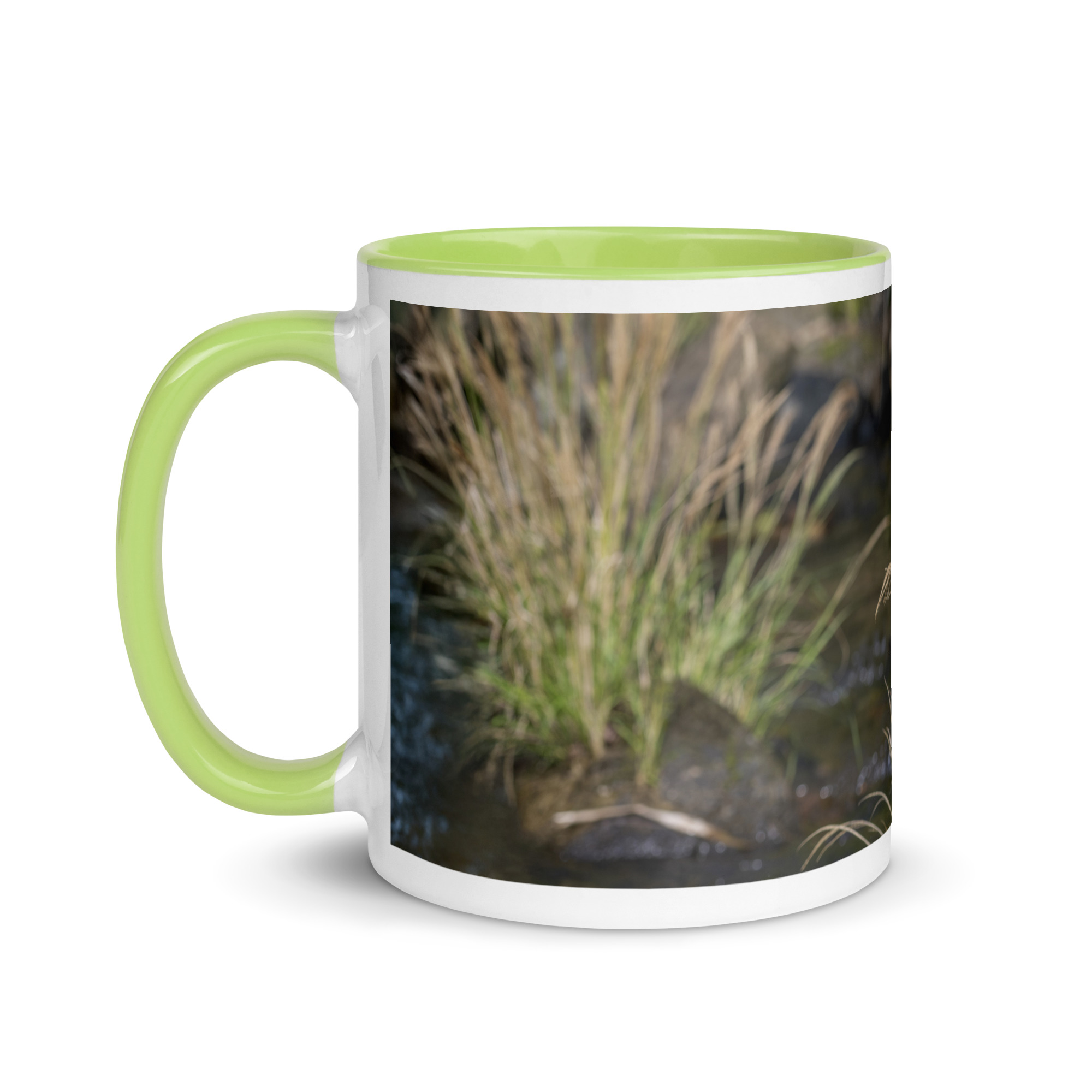 Bare-throated tiger heron! Mug with Color Inside - Image 27