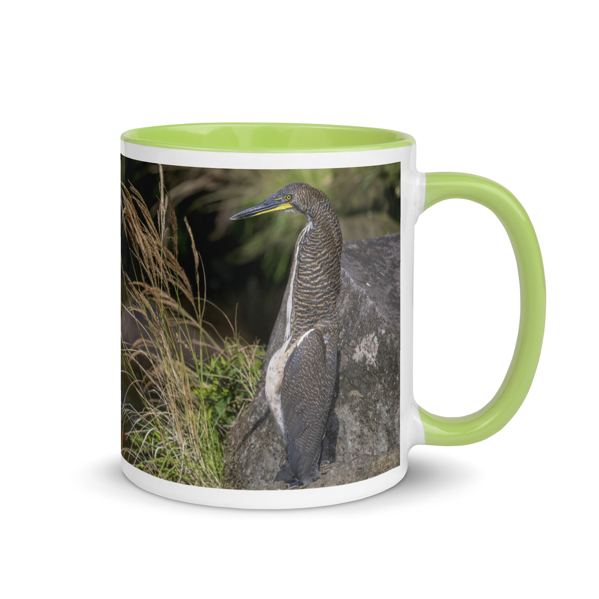 Bare-throated tiger heron! Mug with Color Inside - Image 25