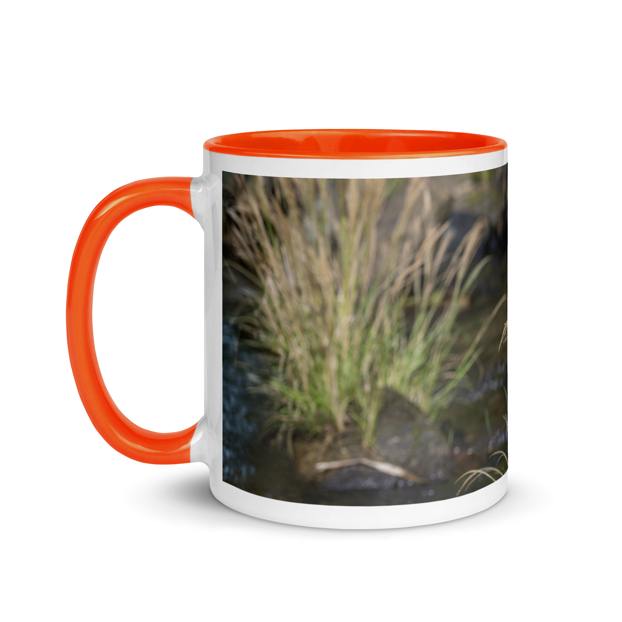 Bare-throated tiger heron! Mug with Color Inside - Image 15