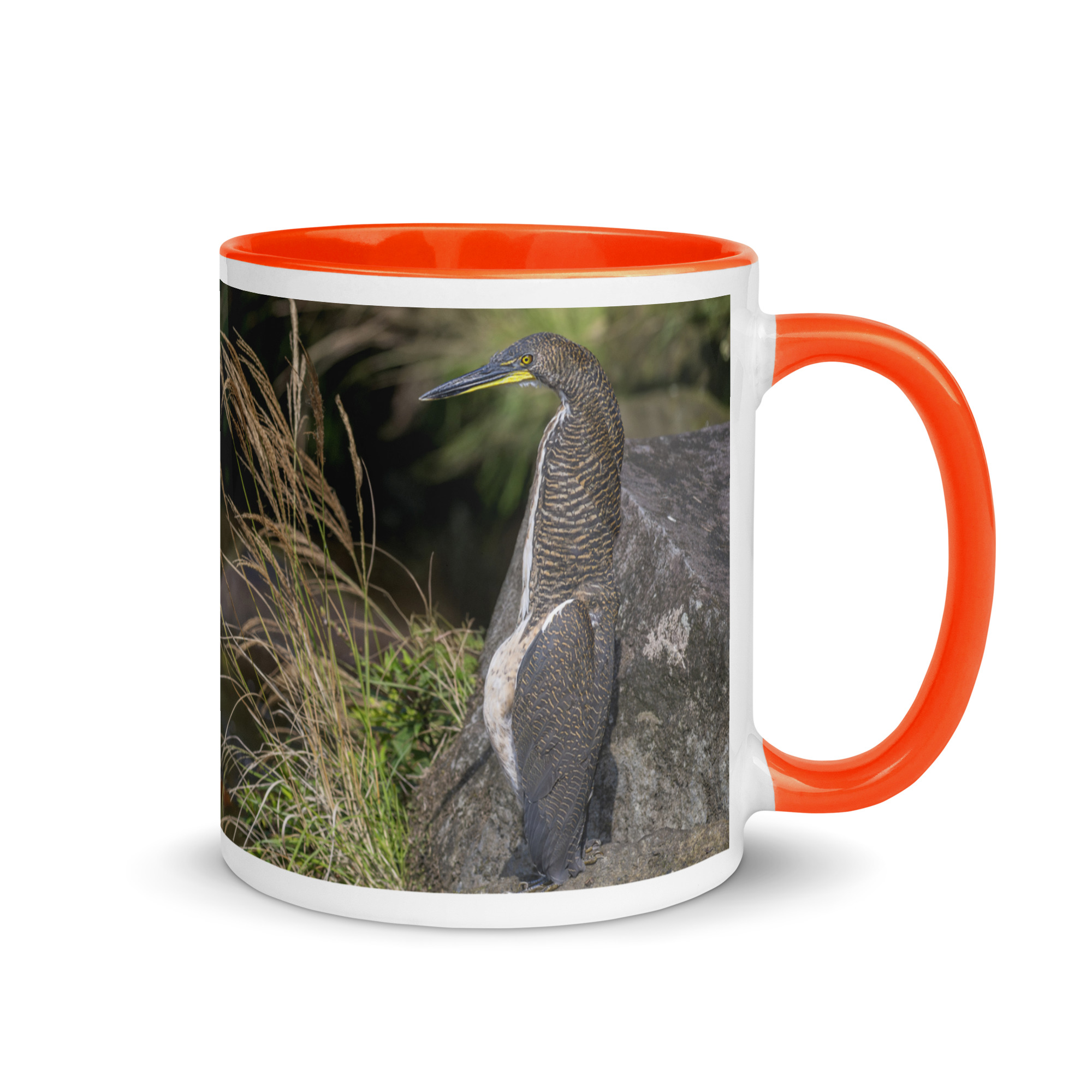 Bare-throated tiger heron! Mug with Color Inside - Image 13