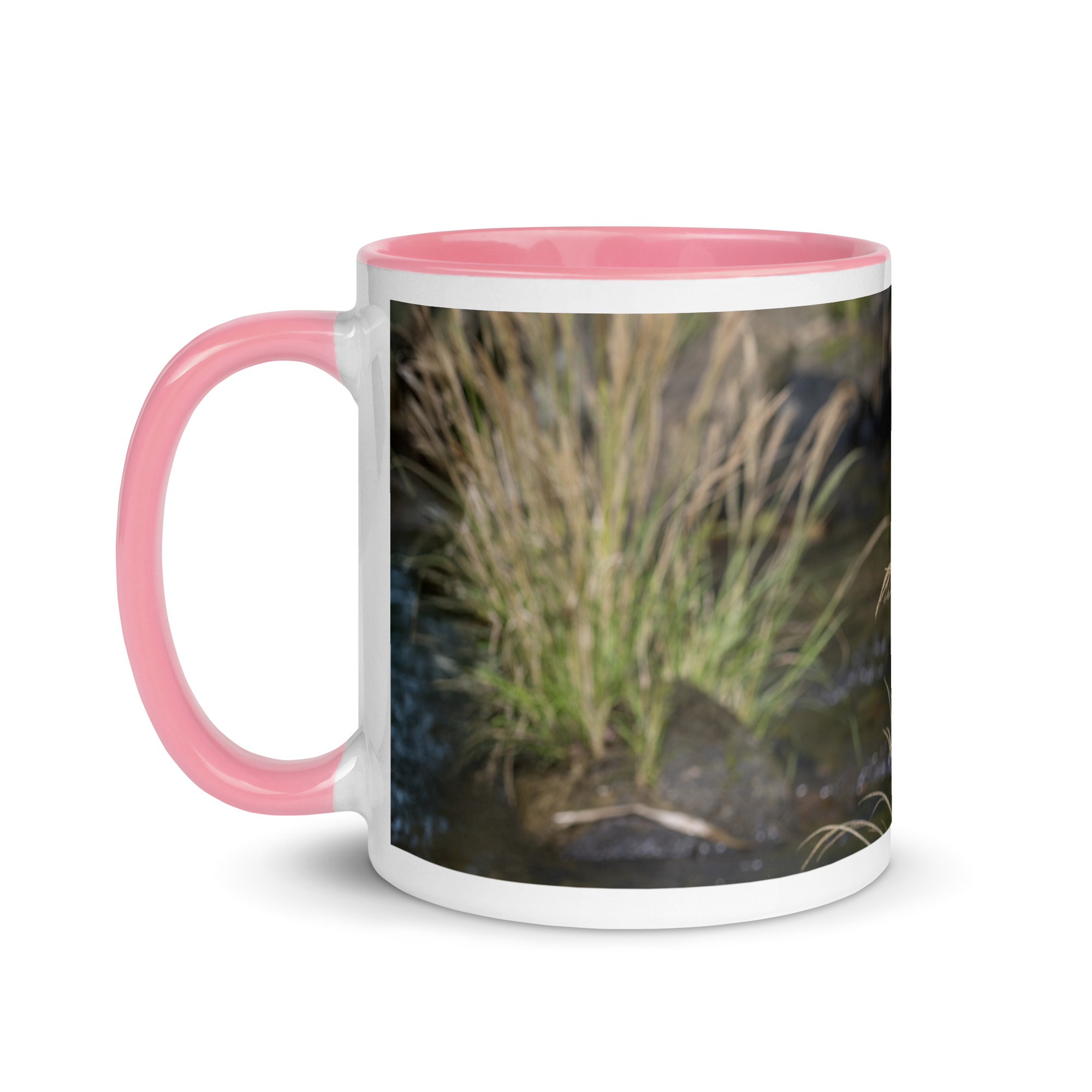 Bare-throated tiger heron! Mug with Color Inside - Image 21