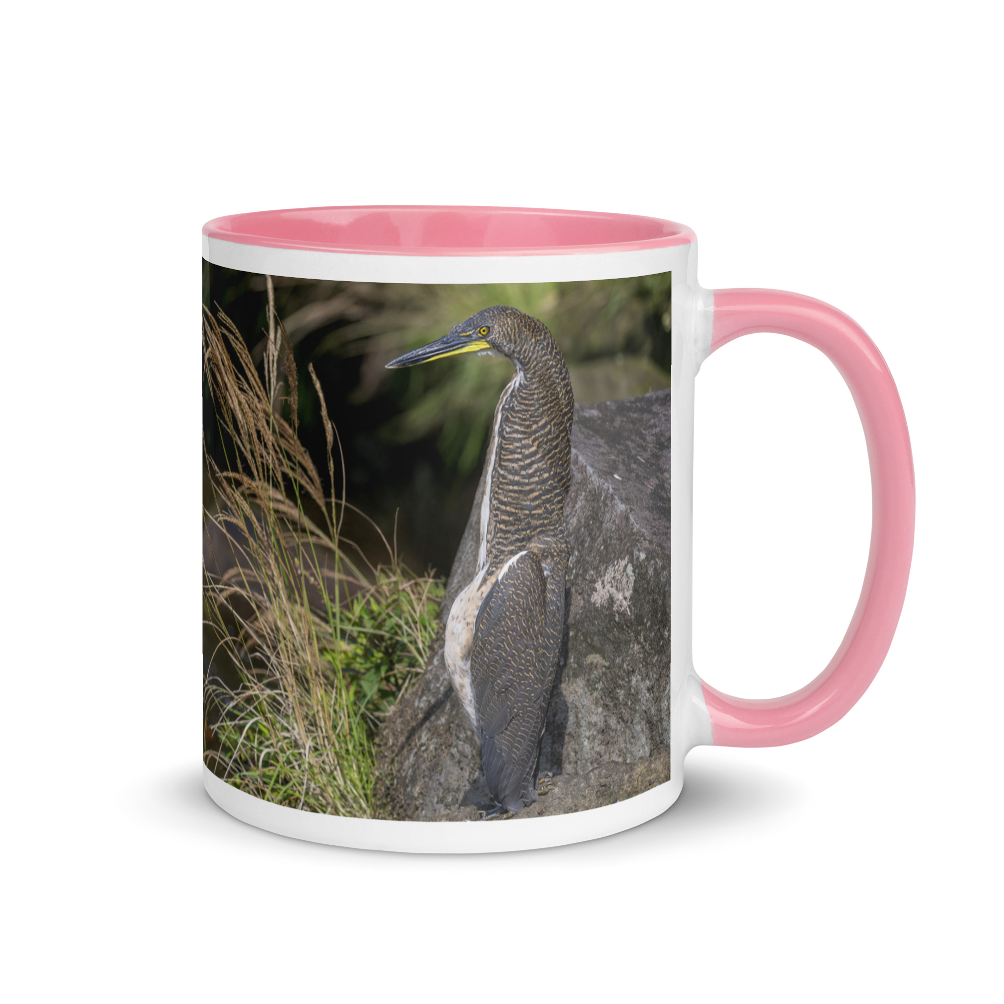 Bare-throated tiger heron! Mug with Color Inside - Image 19