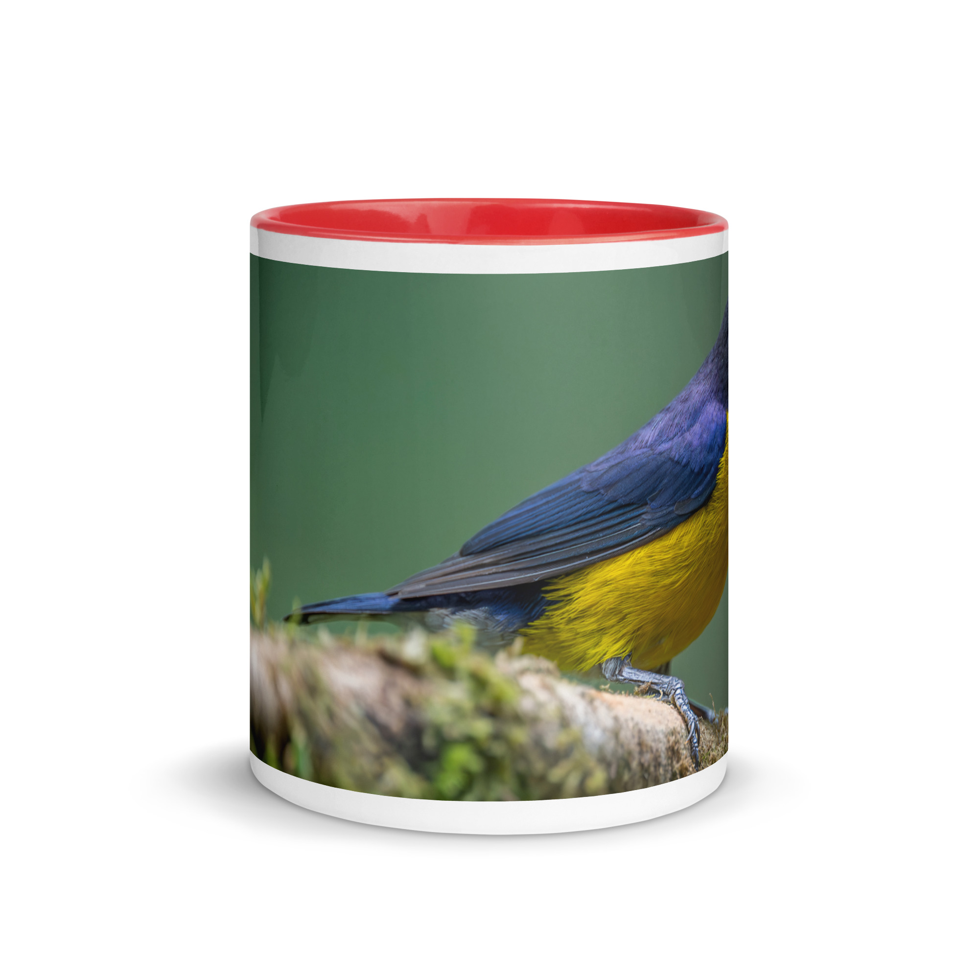 Tawny-capped euphonia in cloud forest! Mug with Color Inside - Image 2