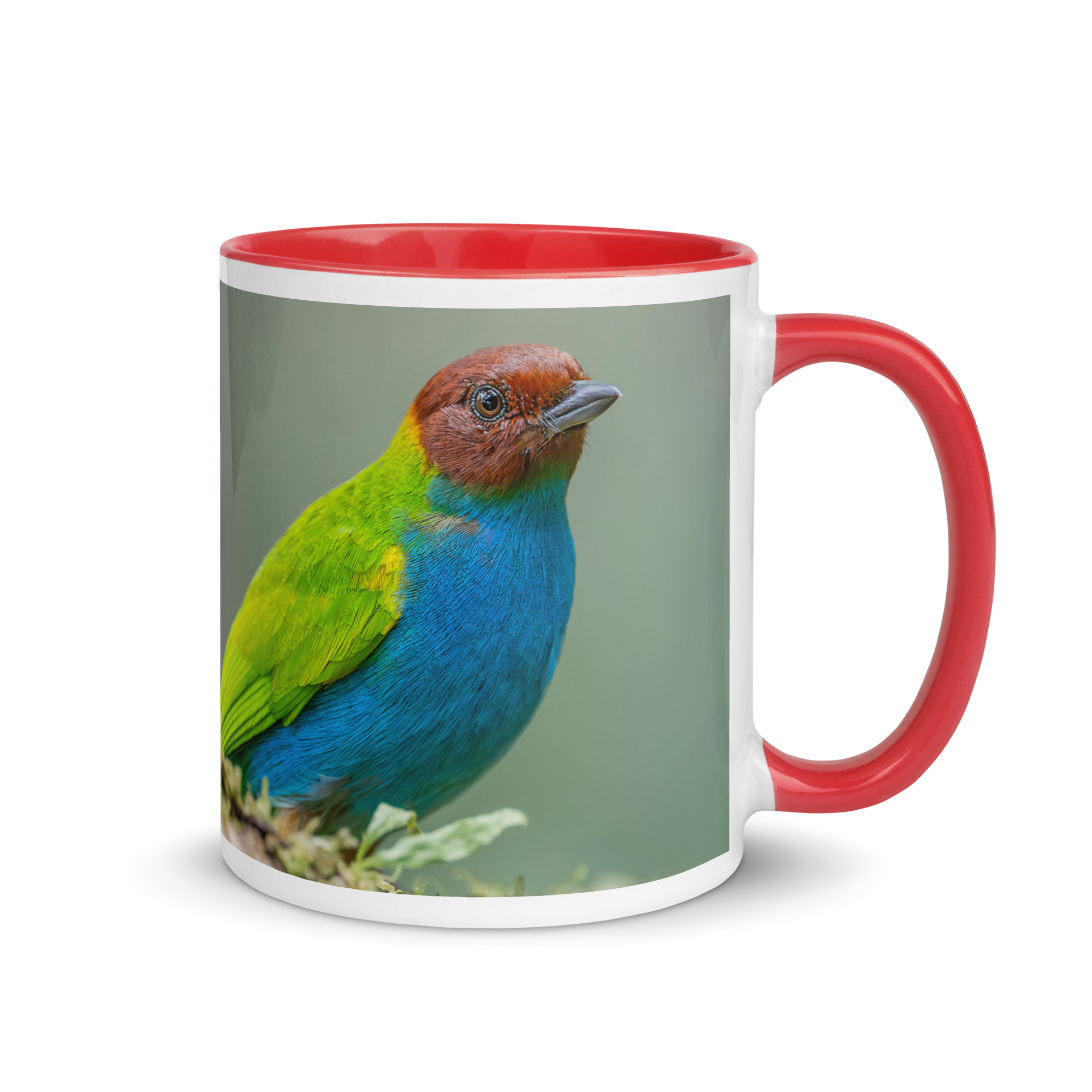 Bay Headed Tanager in rain Forest! Mug with Color Inside