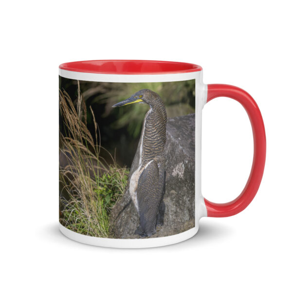 Bare-throated tiger heron! Mug with Color Inside