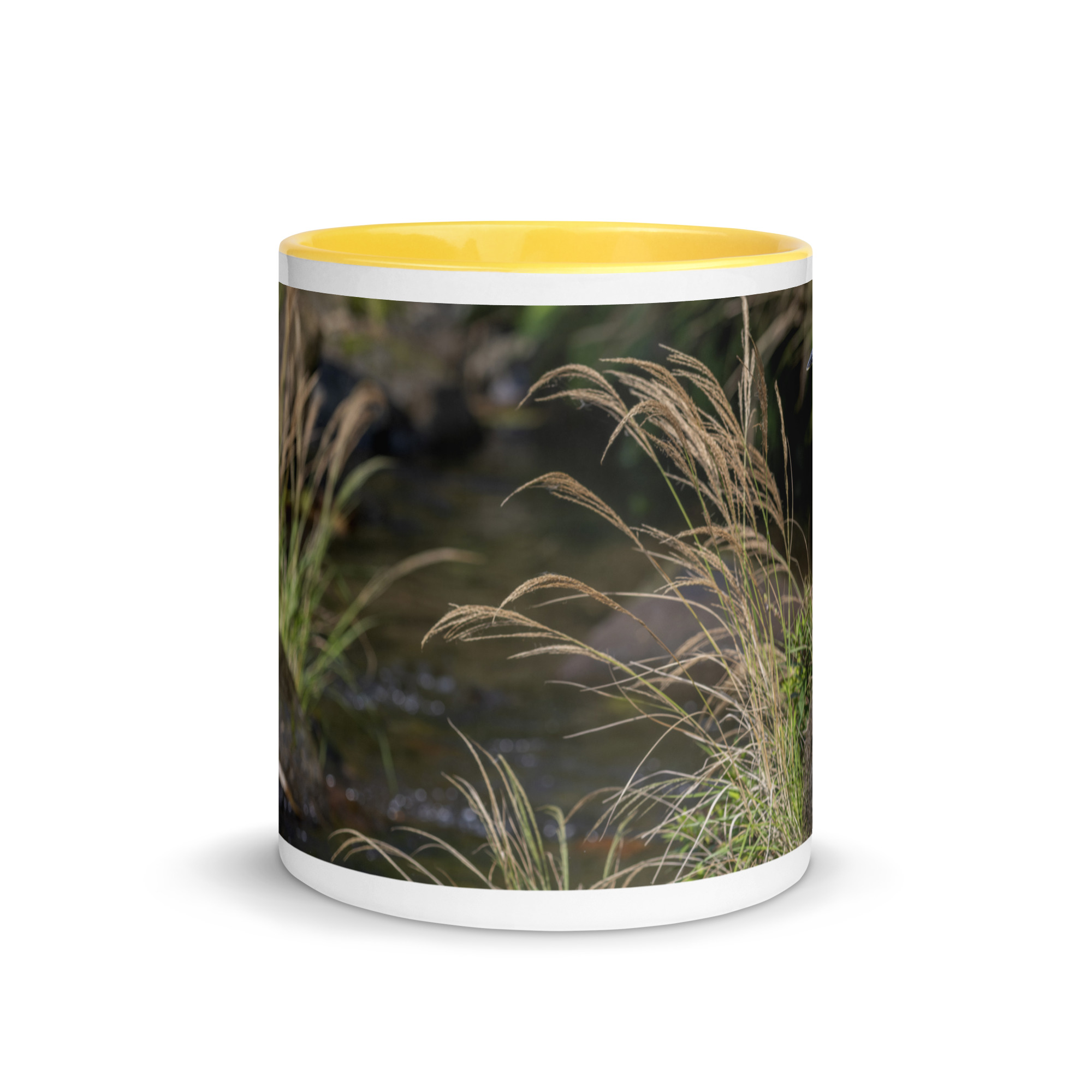 Bare-throated tiger heron! Mug with Color Inside - Image 29