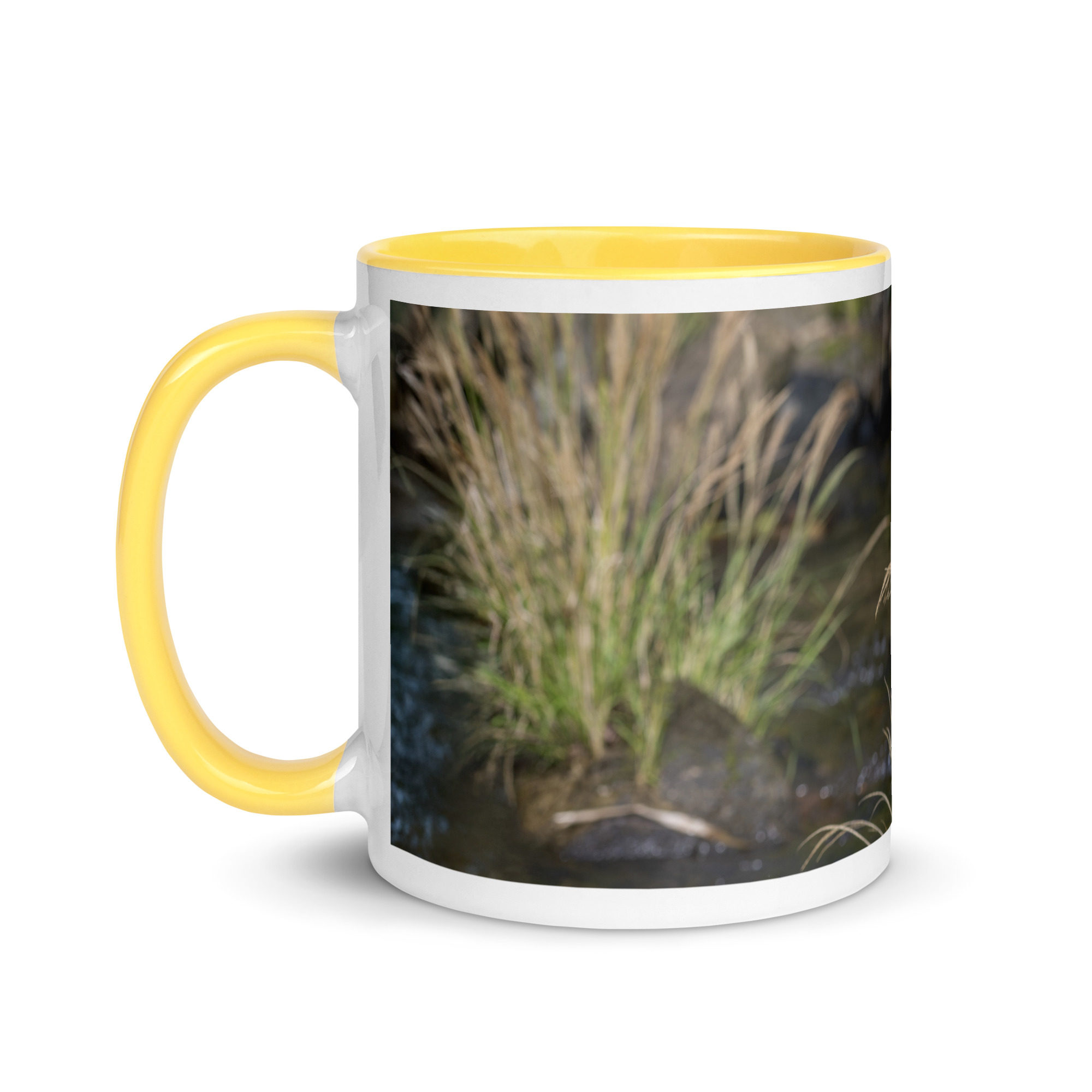 Bare-throated tiger heron! Mug with Color Inside - Image 30