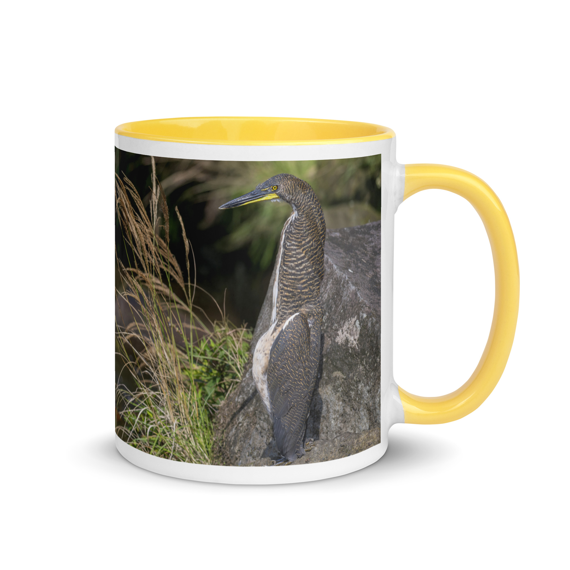 Bare-throated tiger heron! Mug with Color Inside - Image 28