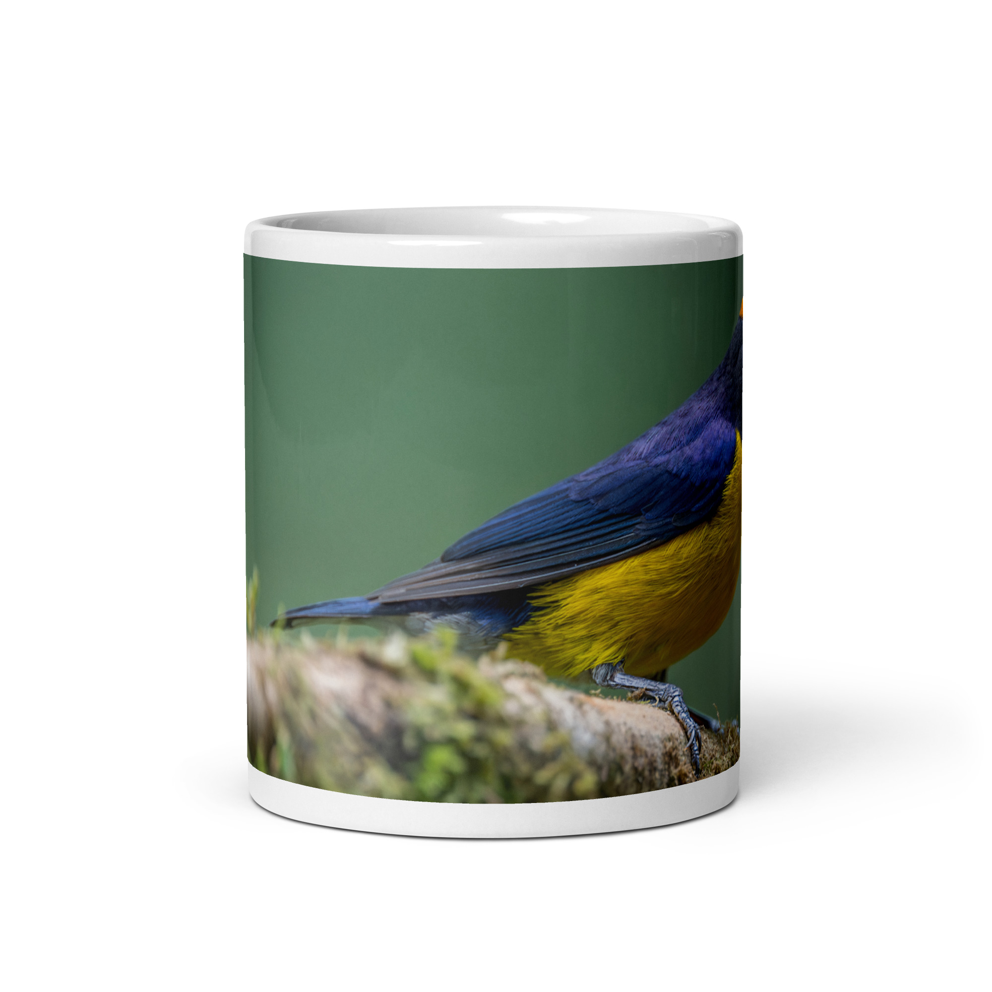 Tawny-capped euphonia in cloud forest! White glossy mug - Image 3