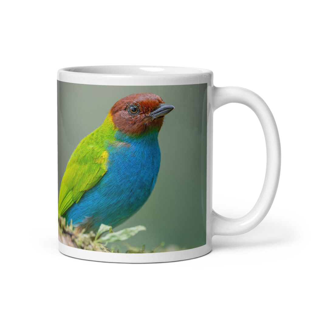 Bay Headed Tanager in rain Forest! White glossy mug