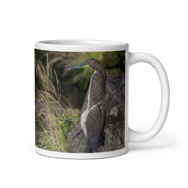 Bare-throated tiger heron! White glossy mug