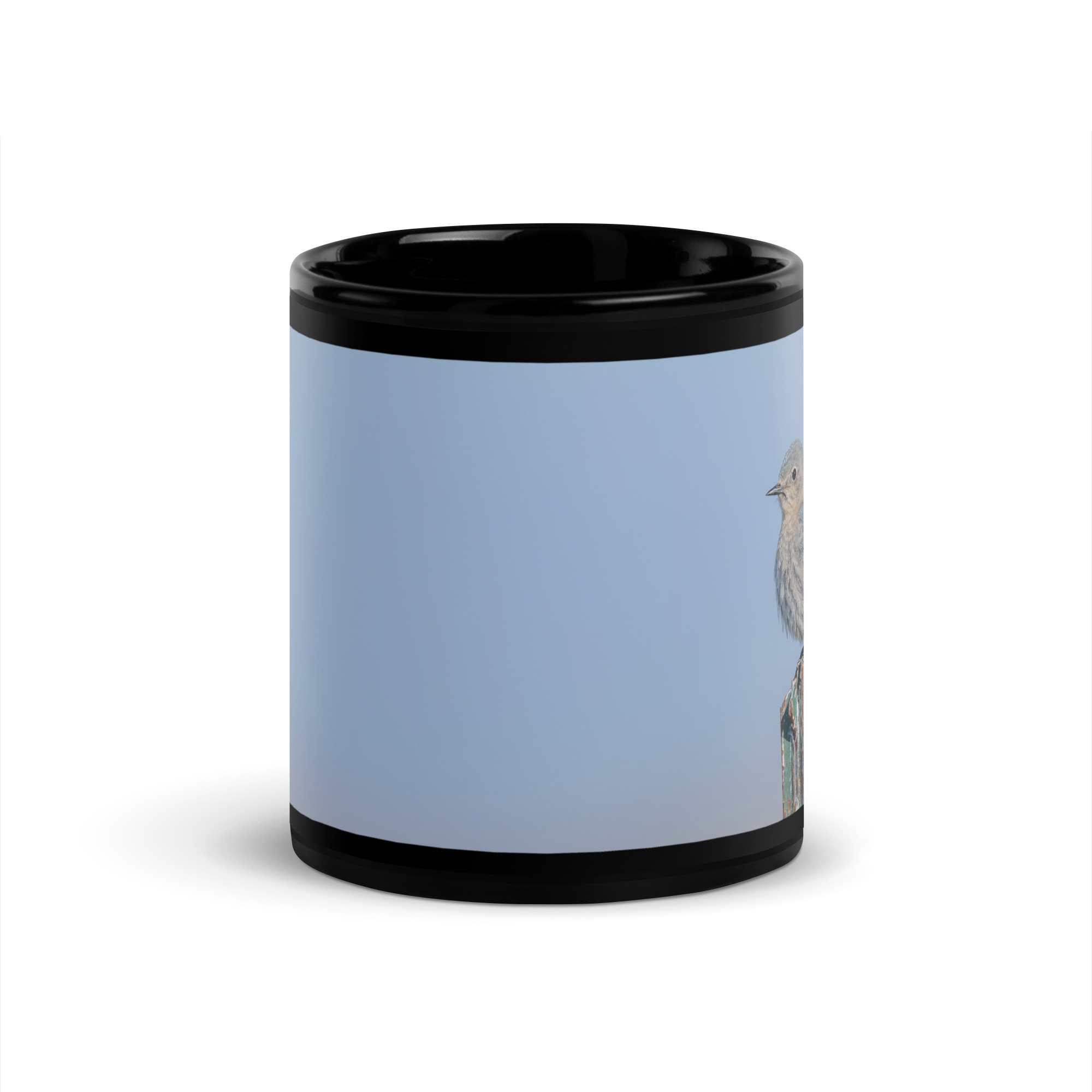 Female Mountain Bluebird! Black Glossy Mug - Image 3