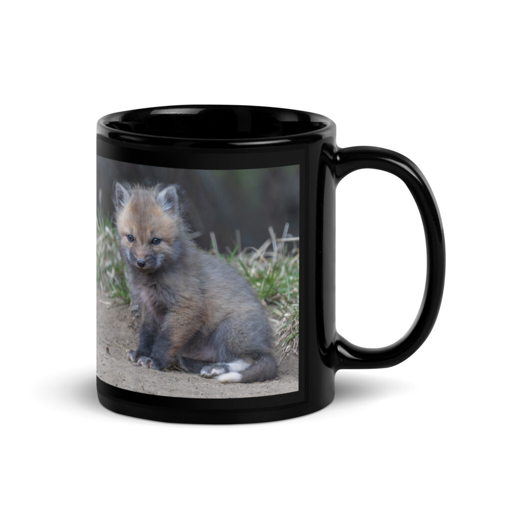 Baby Fox! Black Glossy Mug