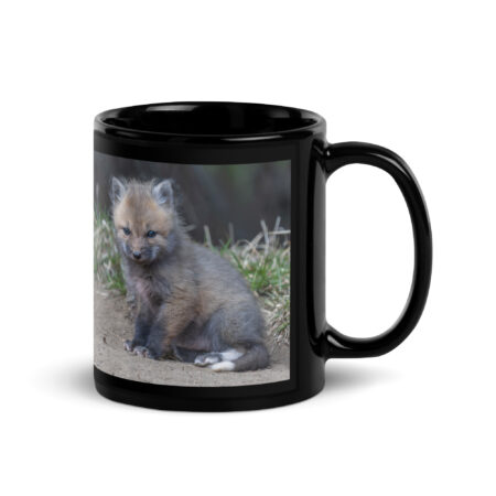 Baby Fox! Black Glossy Mug